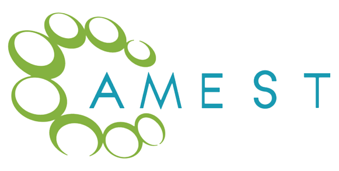 AMEST Logo